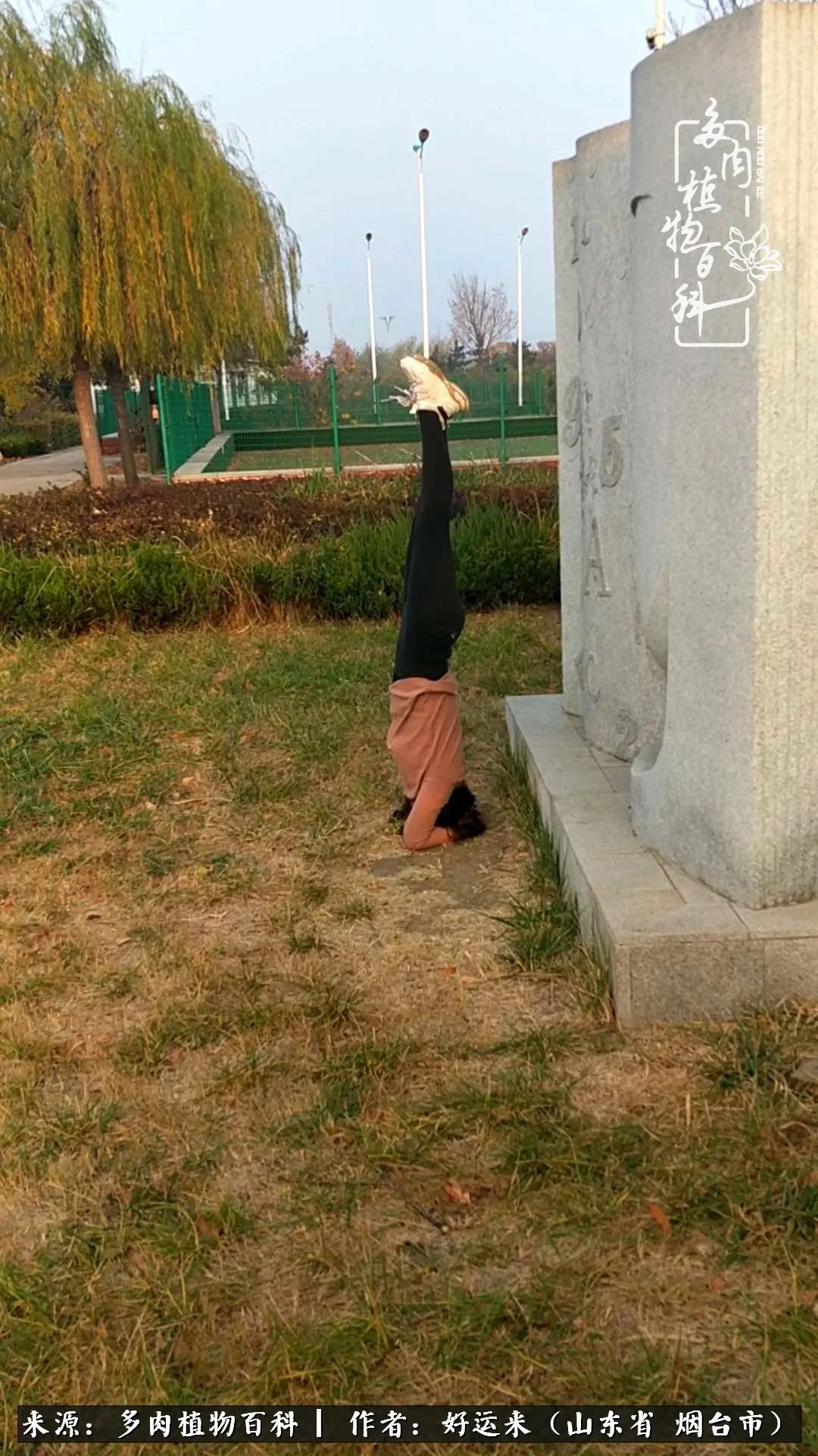 世上怎么会有这么可爱的生物,这世上怎么会有那么可爱的小可爱