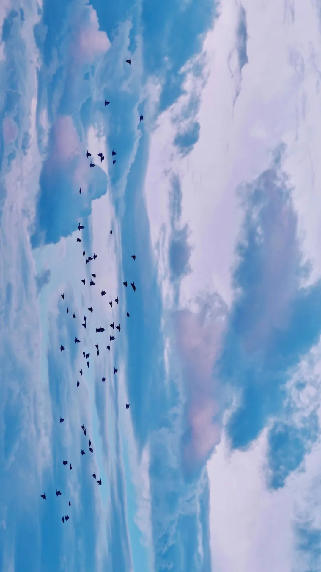 一组超好看的姓氏壁纸请签收,一组超好看壁纸请签收