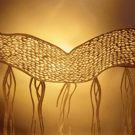 娇兰复原蜜为什么那么贵,娇兰复原蜜是真好还是假好