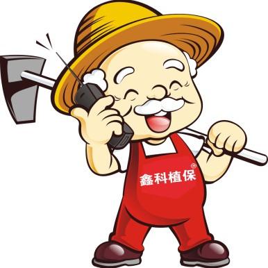 北苍术防止根腐病用啥药,苍术根腐病对苍术的危害