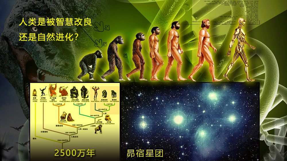 宇宙编年史中，科学流氓为何不爱骚弄人类起源“敏感”区域