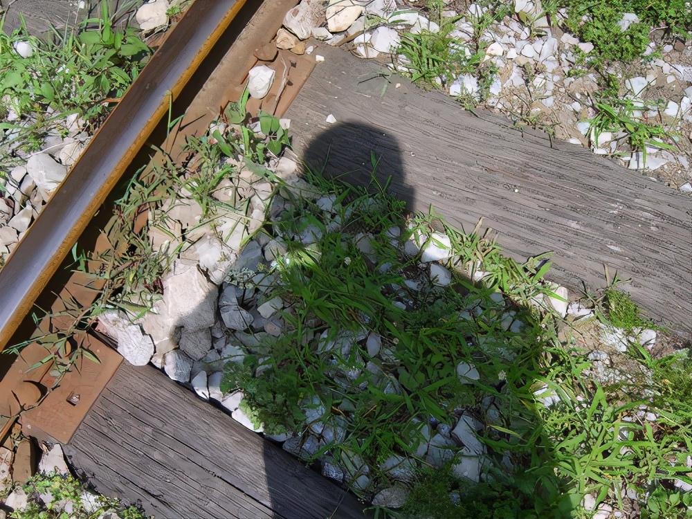 运转昭化站，探秘821厂铁路专线