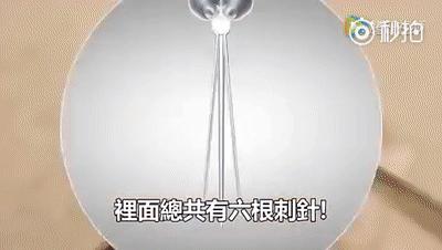 宝宝总爱招蚊子？如何驱蚊、止痒？真正有效的方法，只有这几种