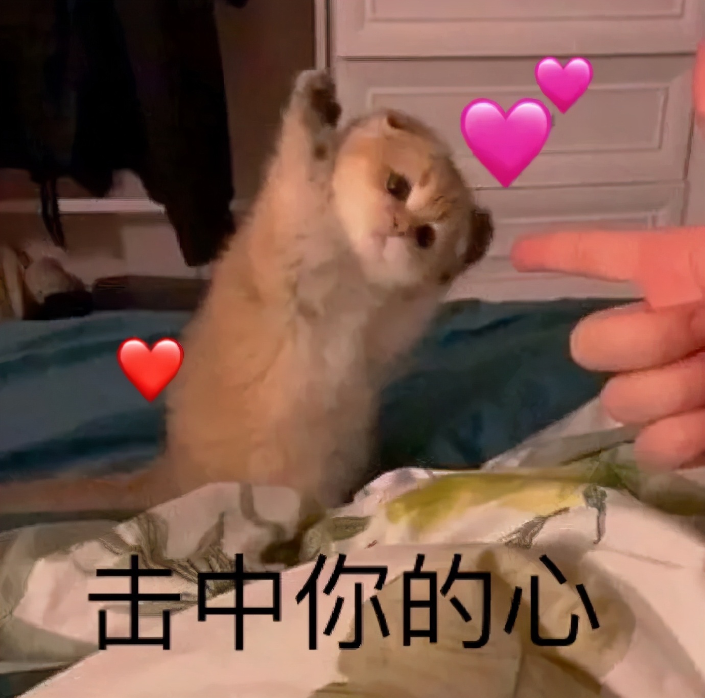 原来钢铁直男都会说情话,钢铁直男反击女生的土味情话