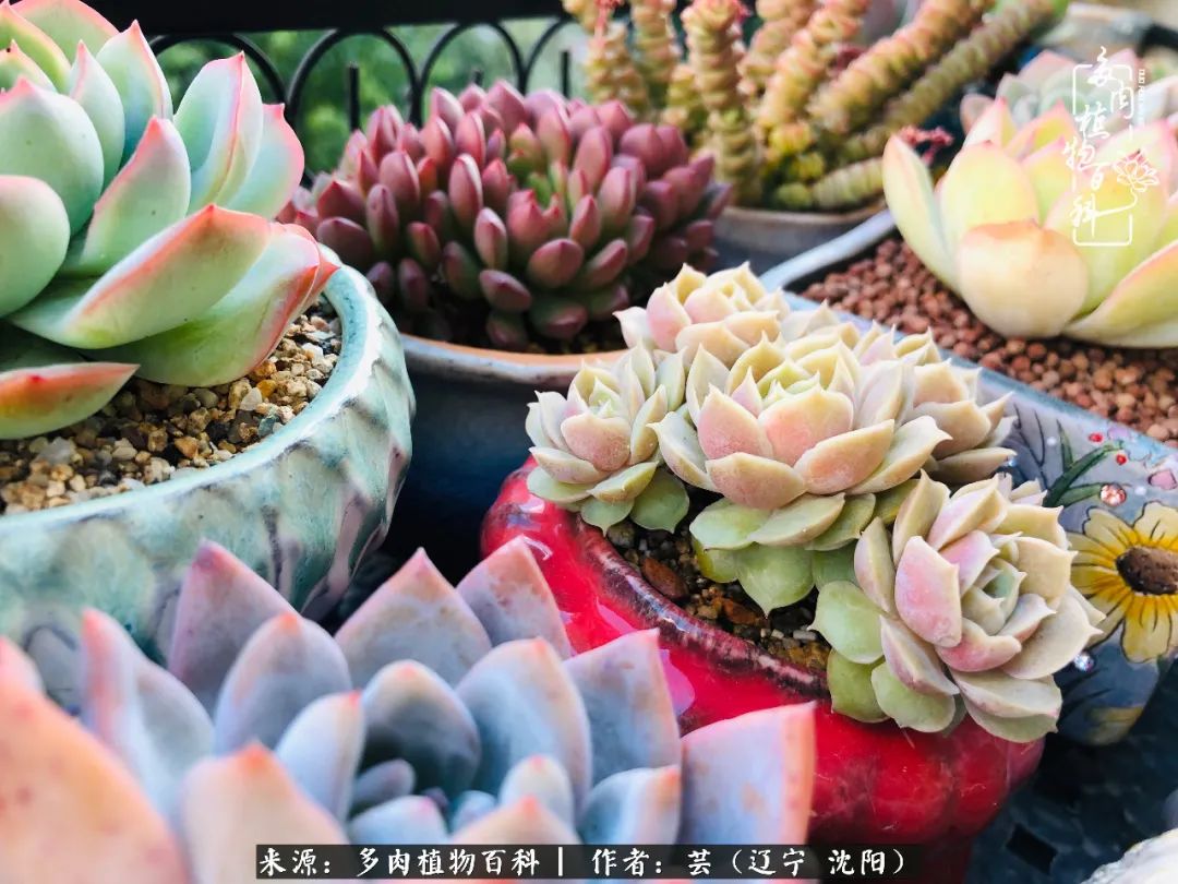 万物皆有灵性有因必有果,万物皆有灵性与生命