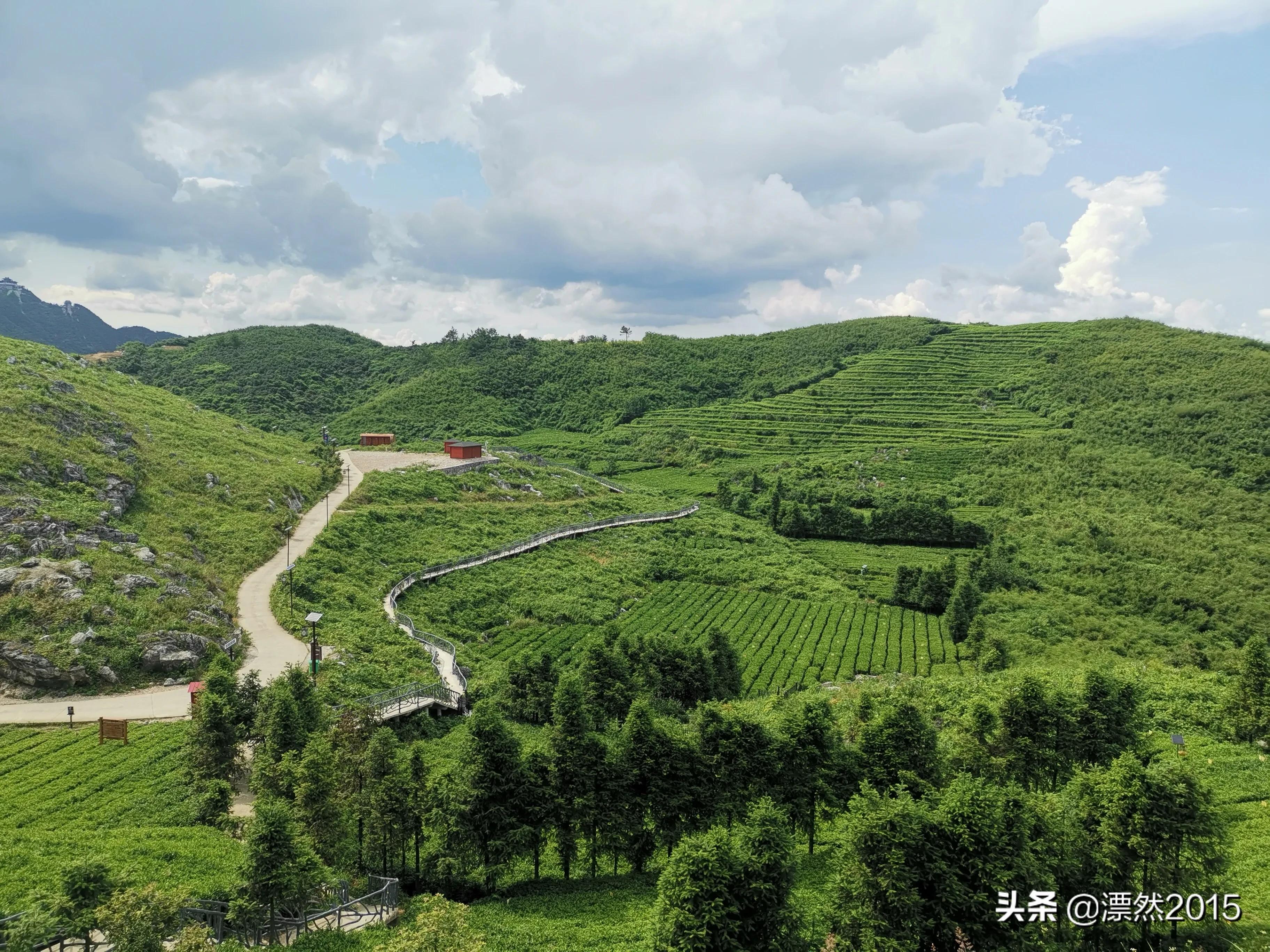 生日回想前面的日子,生日的独白