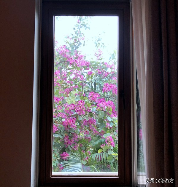 厦门海悦山庄酒店平面图,厦门海悦山庄旅游详解