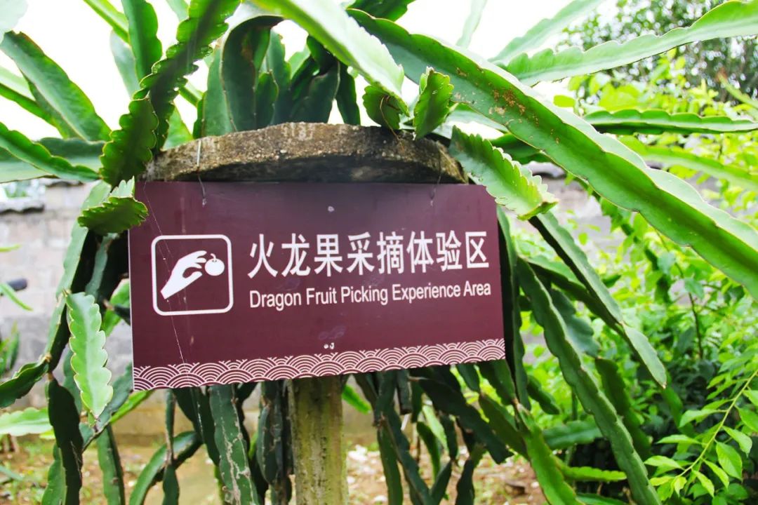 钟山水墨田园山水画廊,钟山水墨画廊要门票吗