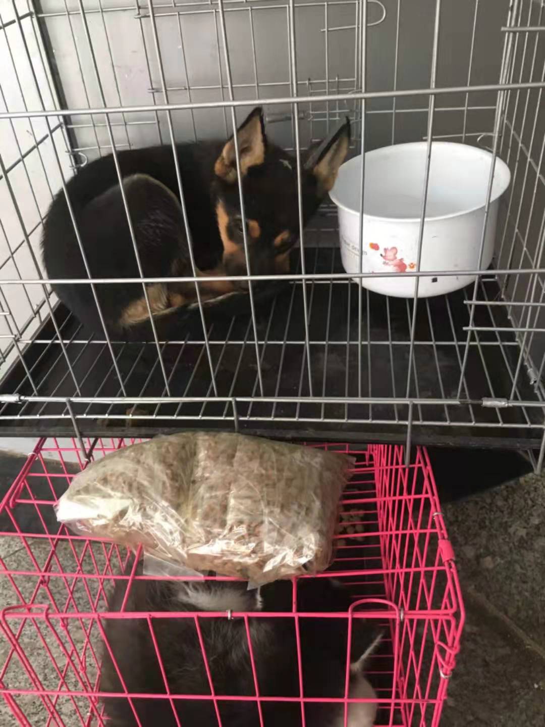 山地车带上飞机流程,怎样把山地车带上火车