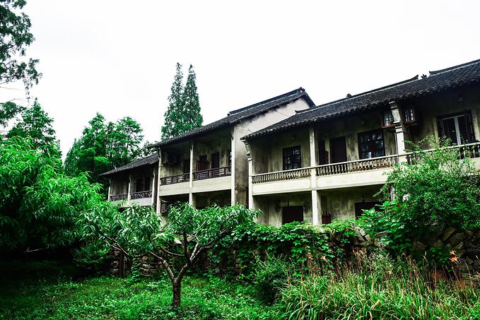 乌村暑期夏令营，吃喝玩乐在这里