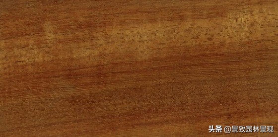 木纹最好看的木材图片,各种木材纹理图片与名称