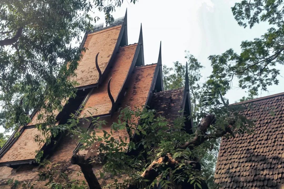 成都户外：当生活一塌糊涂的时候，就去清迈找回最初的自己吧