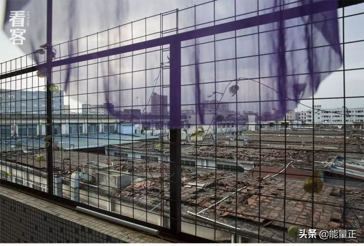 为了逃离包办婚姻，她们前往深圳打工赎身