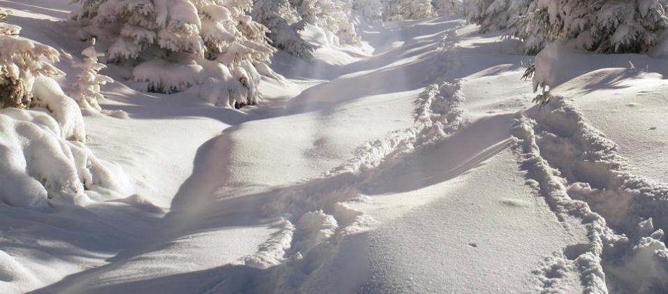 农村电商怎么做农产品赚钱,电商适合卖什么农产品