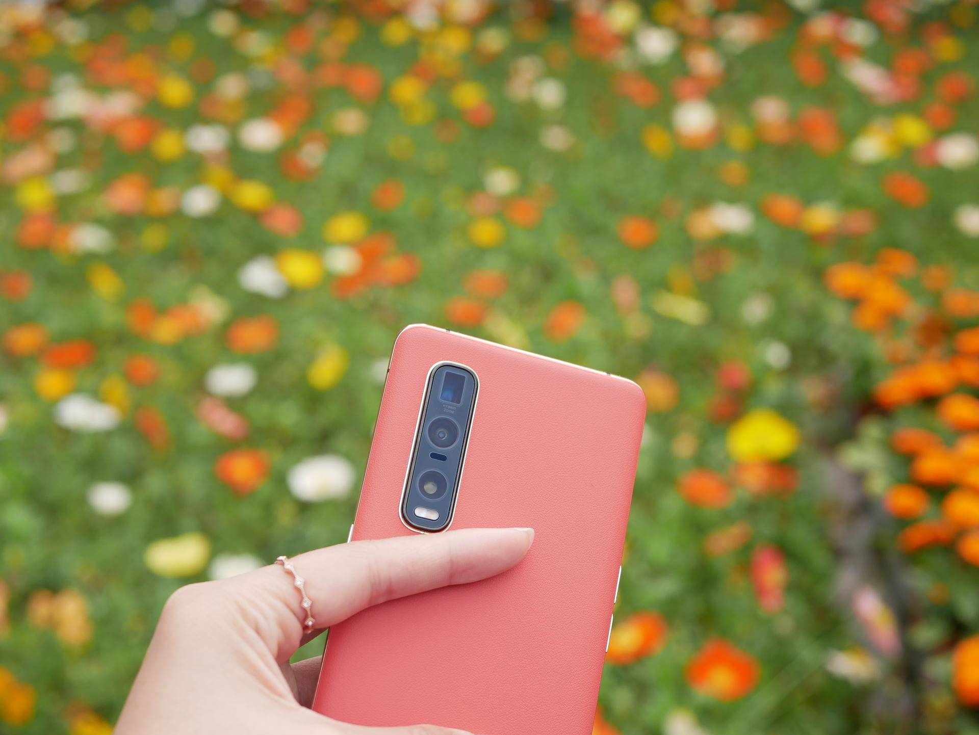 findx2pro什么价格,findx2pro发售价