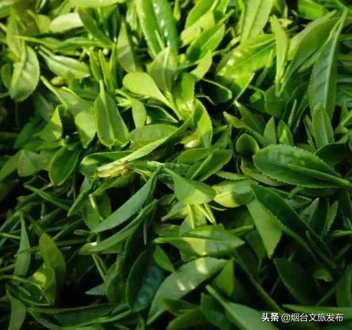 一起来了解福州,一起来了解沁县