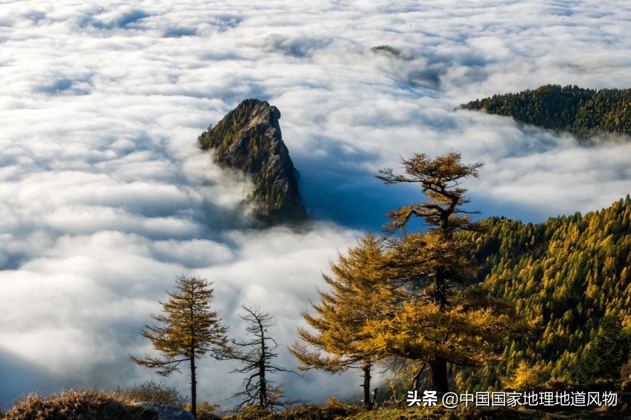雁门关和五台山离忻州市区多远,真实的忻州五台山