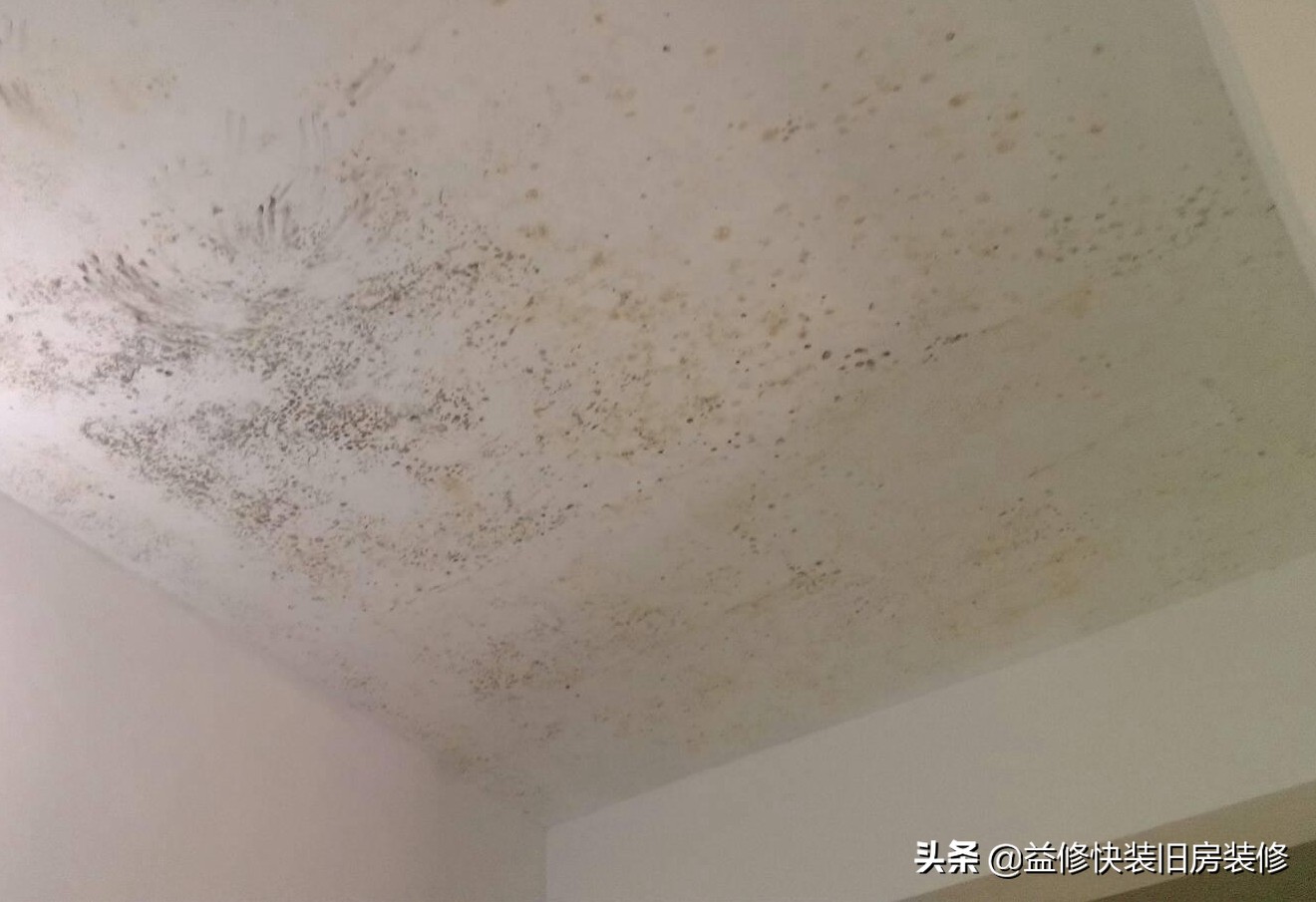 吊顶发霉的解决办法,吊顶发霉了有没有办法根治呢