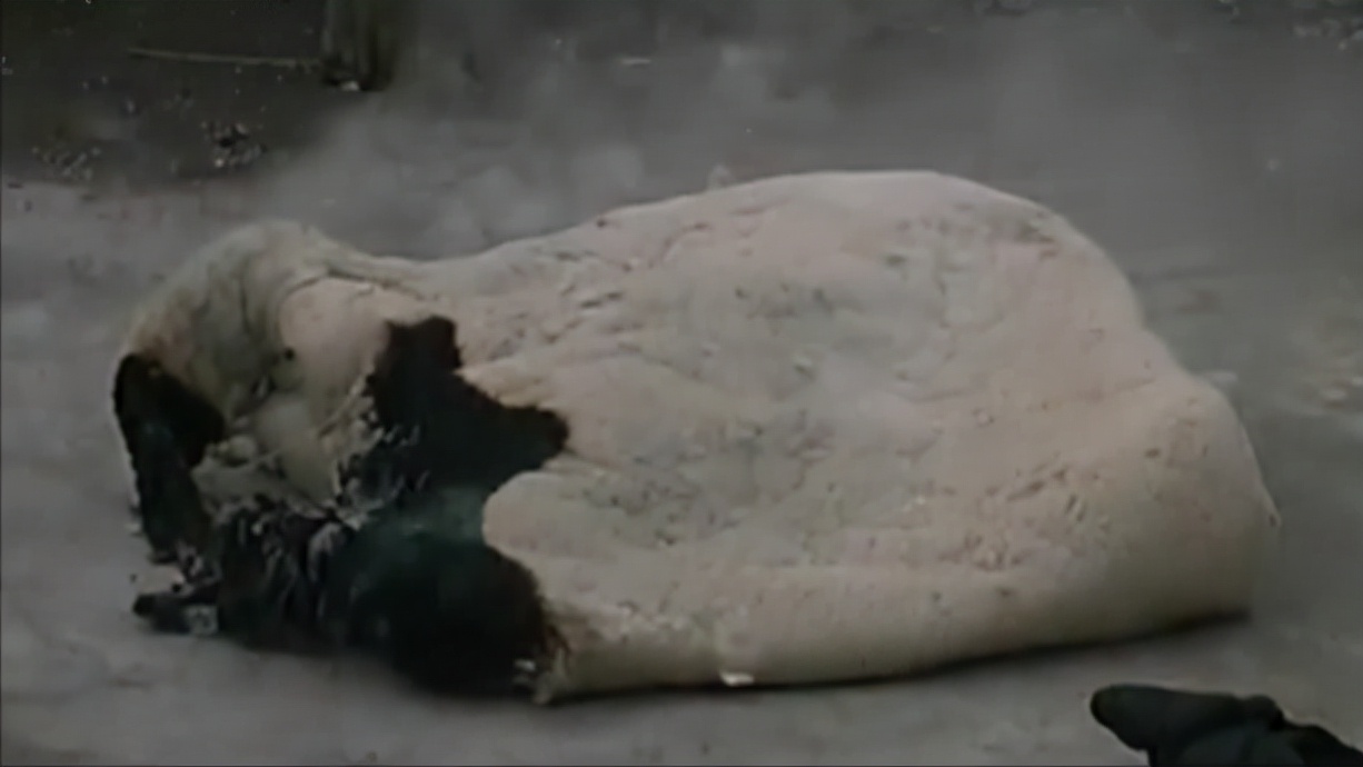 老人突然人体自燃烧成灰,老人自燃真实视频