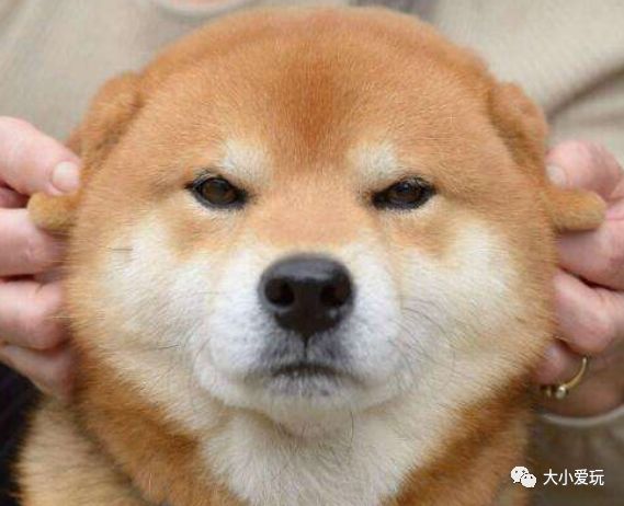 又贵又易被种草、买了发现闲置率超高的十大生活用品，看你中枪没