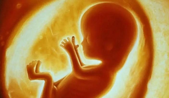 人类胚胎发现塑料,人类胎盘发现微塑料