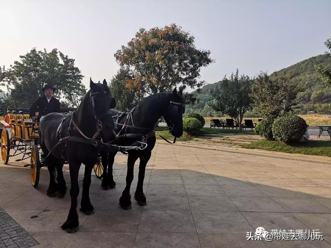 北京最有度假感的酒店，就在金海湖