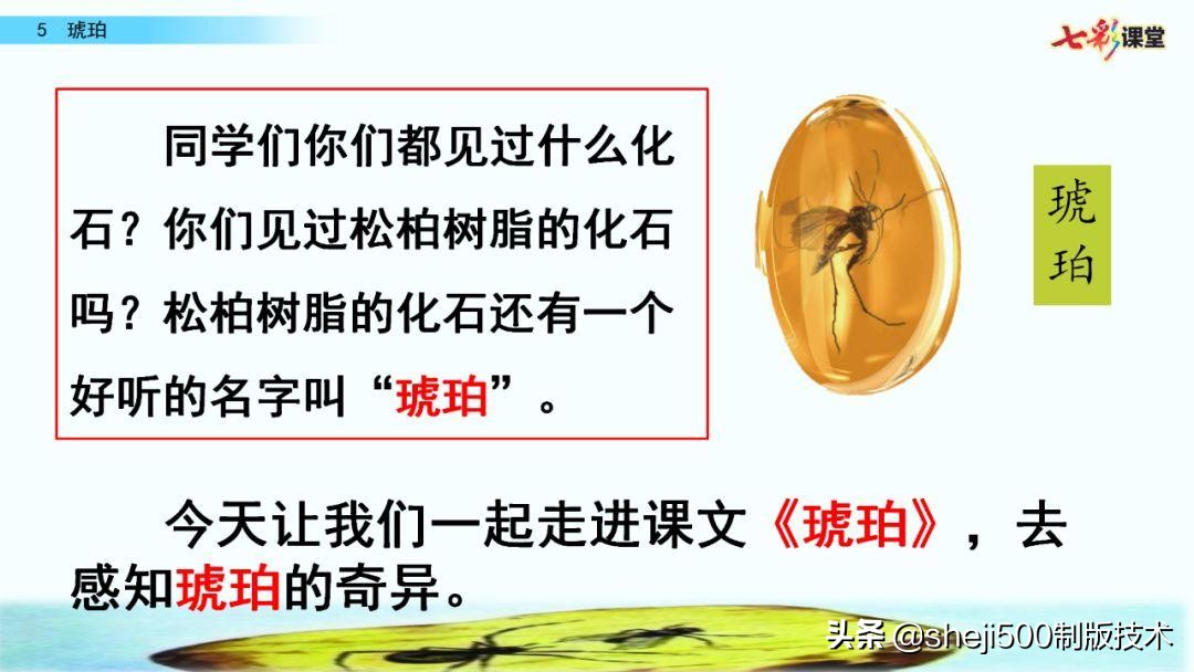 四年级语文下册第5课琥珀知识点,语文书四年级下册琥珀预习分段