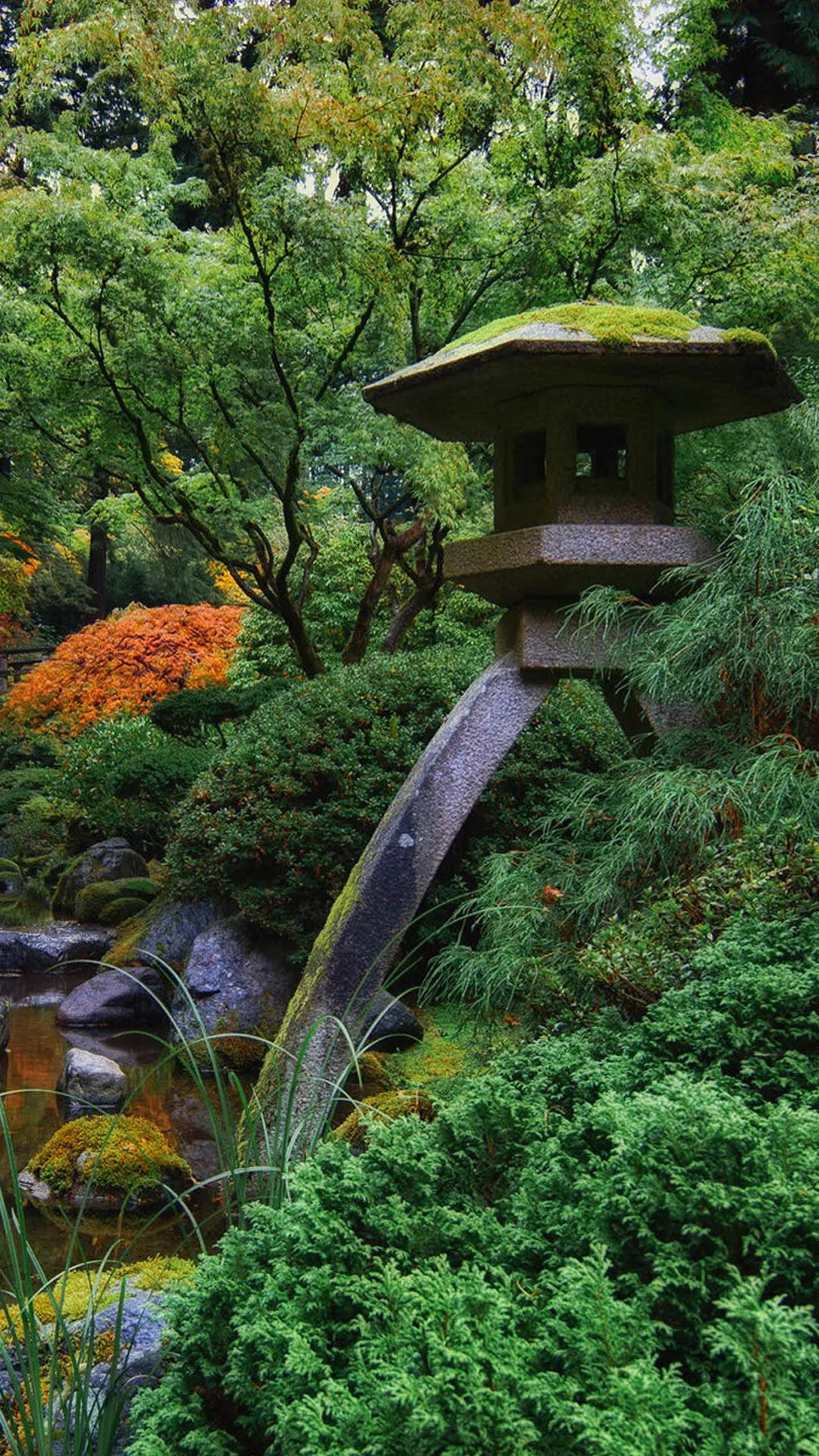 缓解眼睛疲劳动态图壁纸,好看的手机壁纸护眼高清图文