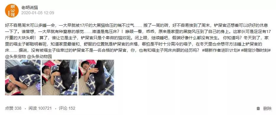 猫咪太肥胖可以节食吗,猫咪吃什么能长胖如何让猫咪长肉