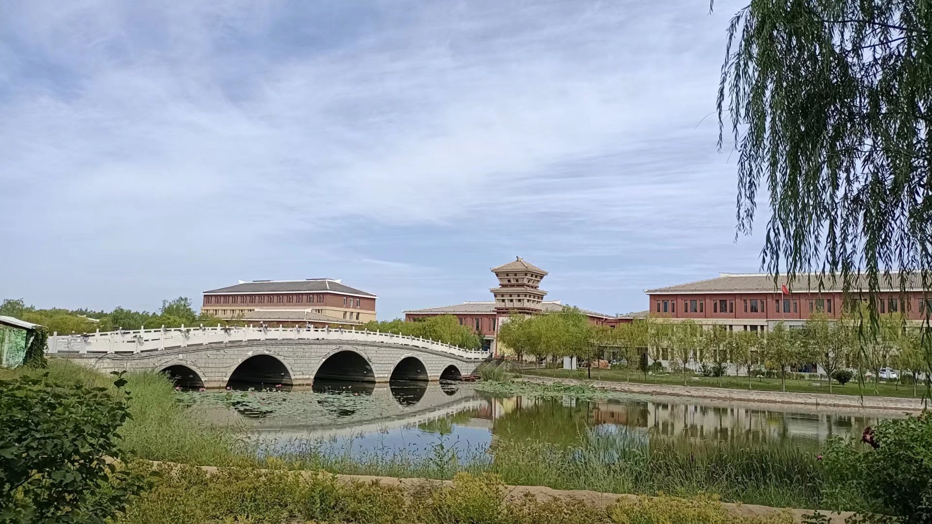 出淤泥而不染濯清涟而不妖原文,出淤泥而不染濯清涟而不妖行书