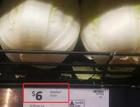 澳洲大龙虾奢华大餐,澳洲大龙虾海鲜大餐