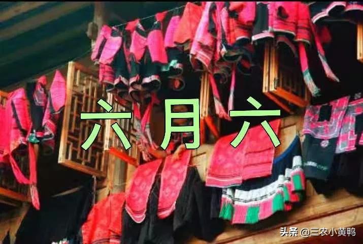 今天六月六，俗语“雨打六月六，四十五天暴”，啥意思？