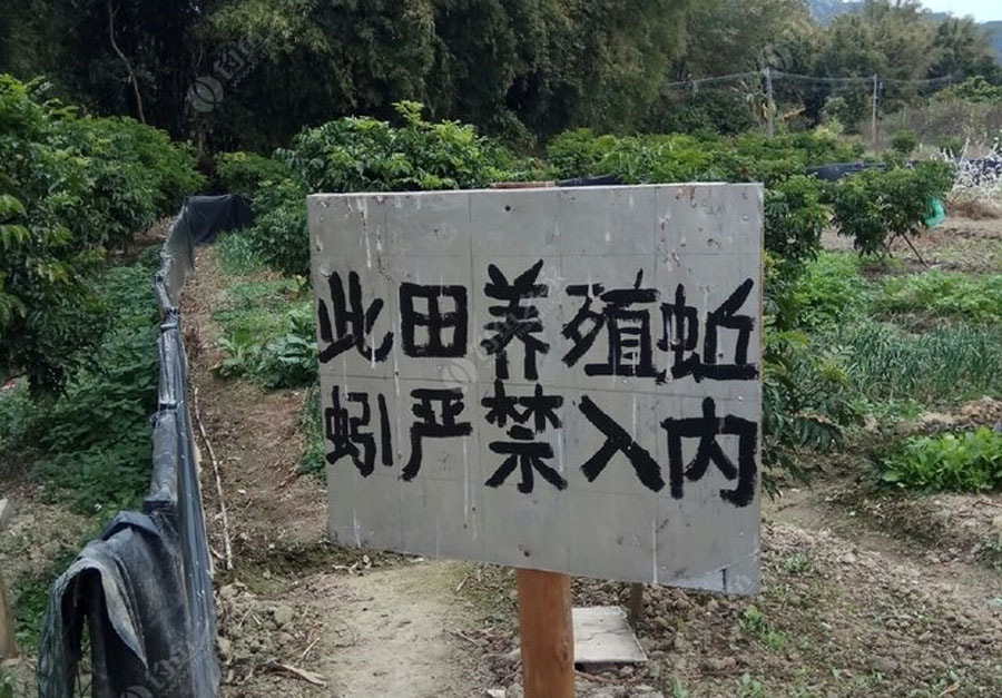 夜钓小河七星漂,夜钓小河沟用路亚