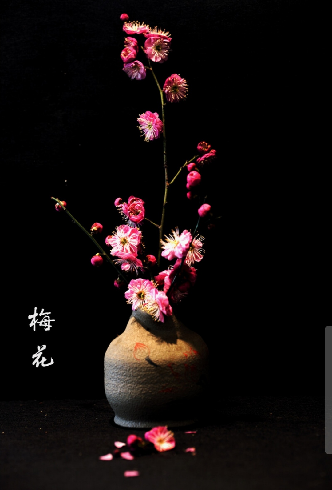 35句励志诗词名句惊艳了岁月,关于自强不息的励志诗句精选