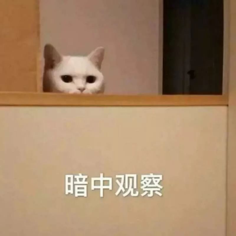 赵薇抖音上直播卖货,赵薇直播间卖奢侈品