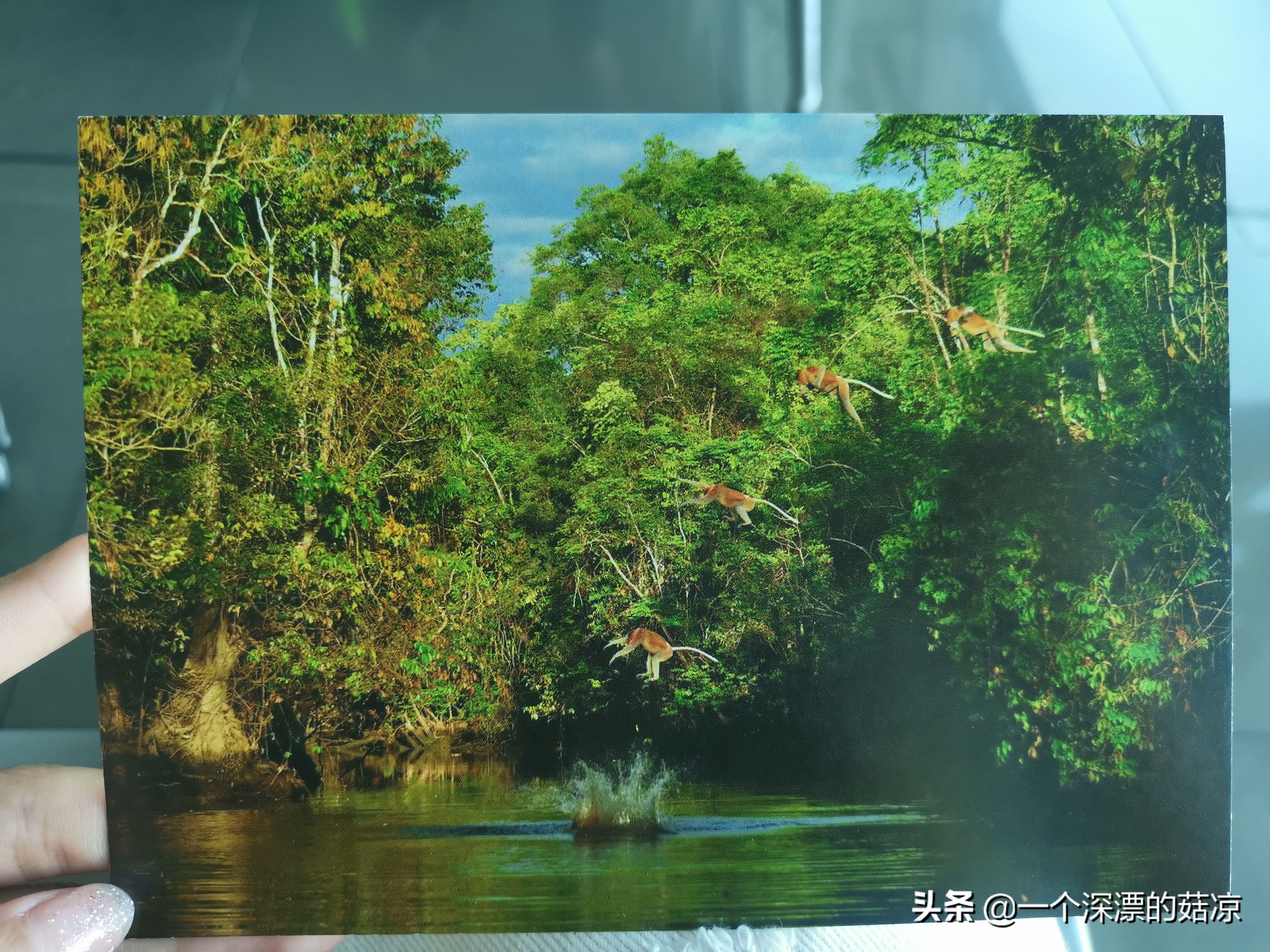 在夏天结束之前再去海边,在夏天结束前去海边