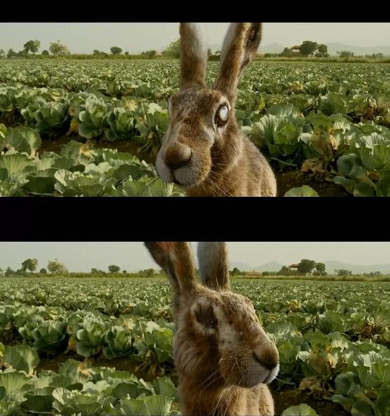 “失明”小伙的渣男之路，多次反转险象环生逆袭人生