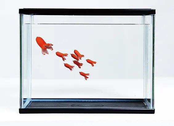 日本艺术留学毕业展,世界顶尖美院作品