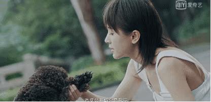 下架停播的剧,下架停播电视剧大全