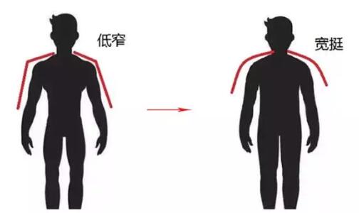 郭敬明为何叫小金人,郭敬明穿大衣完整视频