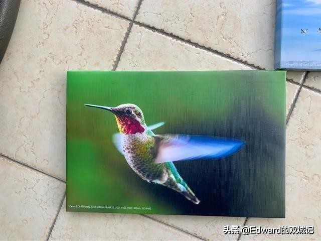 自由摄影师摆摊需要些什么,摄影摆摊怎么入行