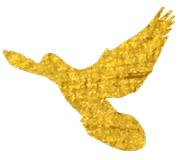 「周明星」冠培音乐周明星第三期王鑫宇、顾宸宇小朋友