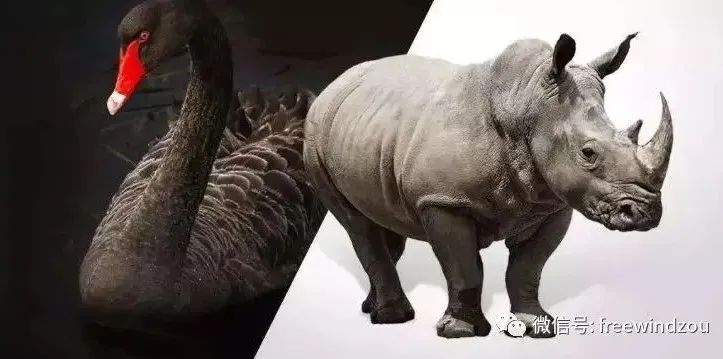 朱配琦最新直播回放,朱配琦直播录像