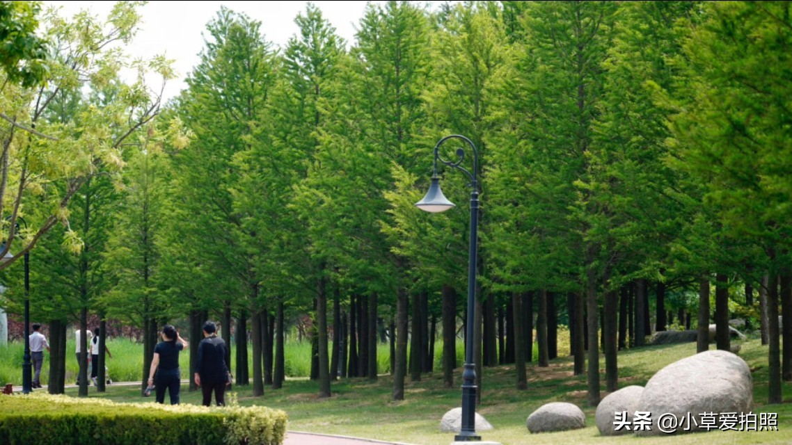 威海十一月羊亭公园,推荐一个好地方威海羊亭公园