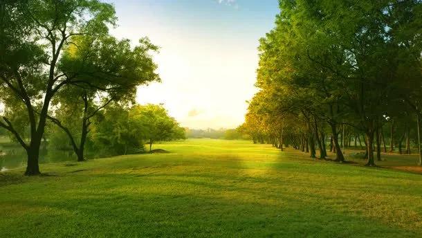 中梁地产品质楼盘,中梁地产房屋