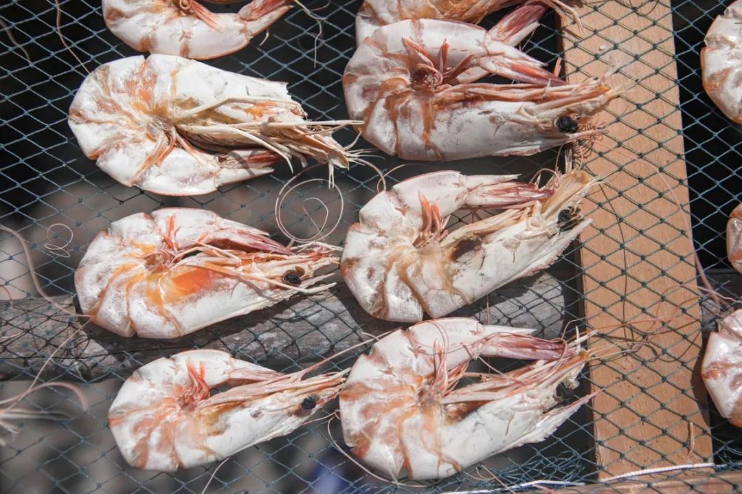 温补肾阳补肾固精吃什么,温肾固精的食品