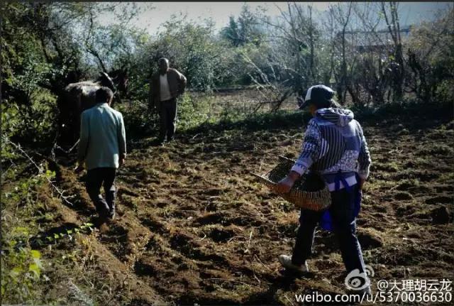 玉龙雪山附近原始村落,玉龙雪山下的村叫什么