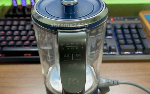 哪种牌子养生壶最好用又实惠,哪个牌子的养生壶好用小巧又实惠