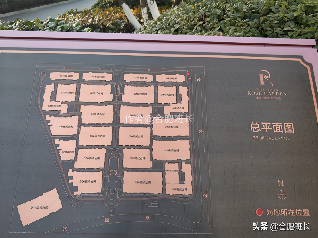 可以传世的房子格局,合肥汤臣一品海景房