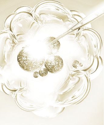 保湿补水推荐小蓝瓶,小蓝瓶小众精华